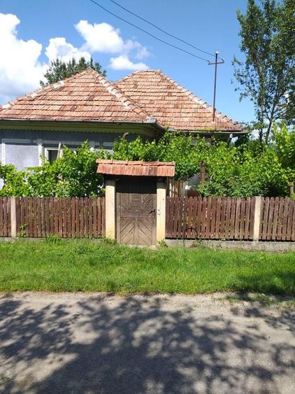 Vand casa cu gradina - 3