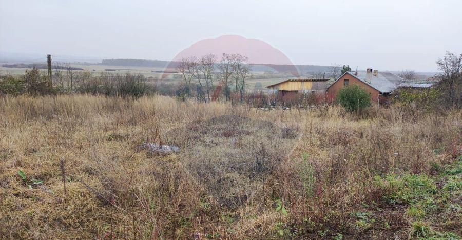 Loc de casa si teren cultivat cu vita de vie 1,28 Ha Sant... - 8