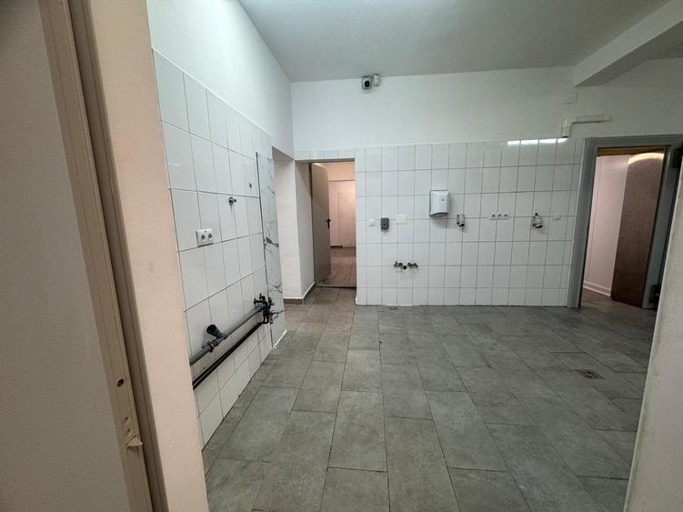 Spatiu cu alta destinatie Lipovei !!! - 7