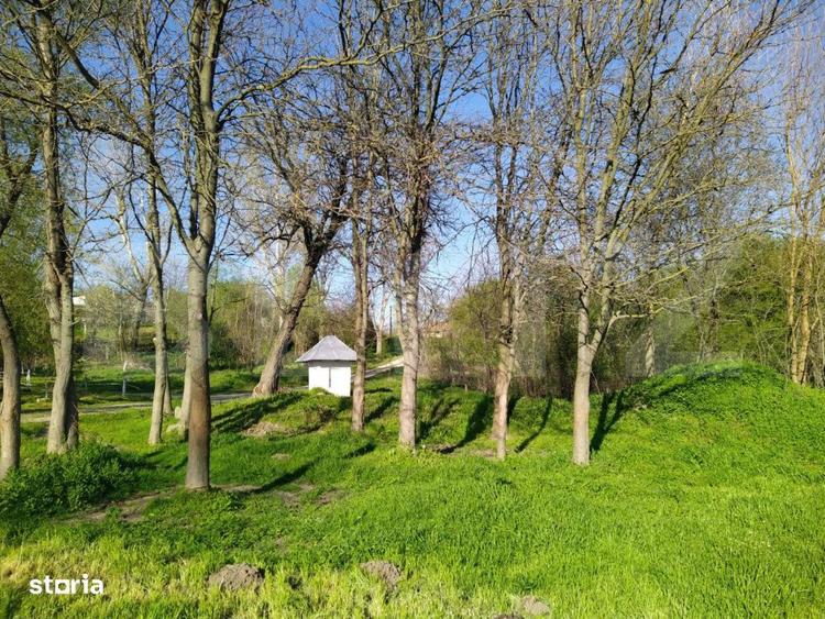 Teren EV si IV cu casa, 29.600 mp, utilitati si acces facil, Albesti - 1