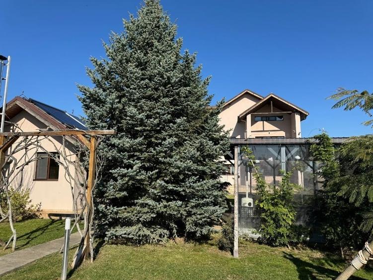 Vilă premium cu grădină spectaculoasă și casă de oaspeți - 14