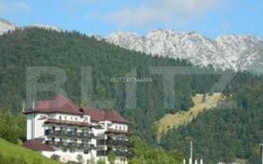 Teren 13.570 mp, Moieciu Pestera