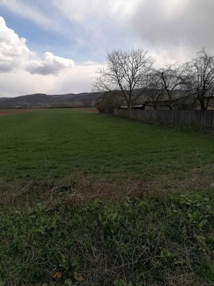 Teren Valea Cucului (Straosti) - 2