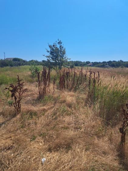 Teren linga strada Ciresilor - 2