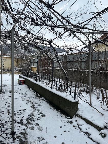 Proprietate cu 2 case in Gura Văii– la doar 10 km de Dr. Tr. Severin - 10