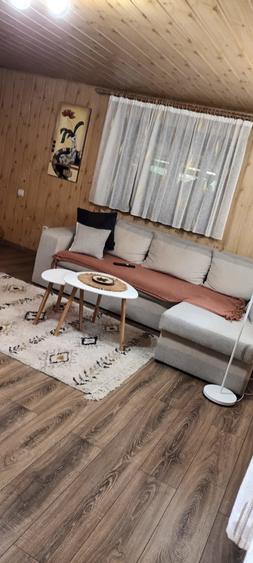 Vand casa de vacanta! - 10