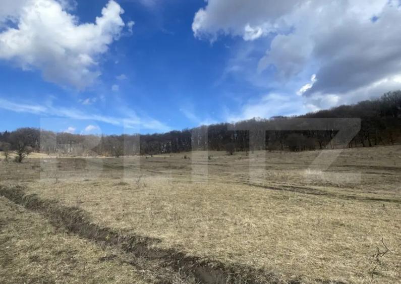 Teren extravilan de vanzare, 2,4 hectare, zona drumul Tarpiu - 3