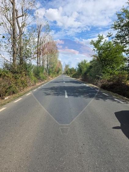 Teren 5000 mp deschidere Sos. Silistea Ciolpani - 5