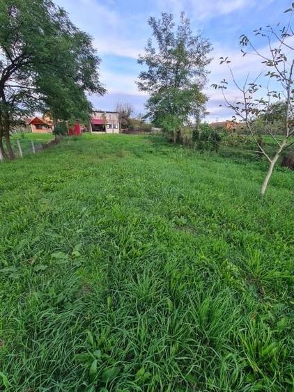 Casa noua P+1 curte si teren zona Streisangeorgiu - 22