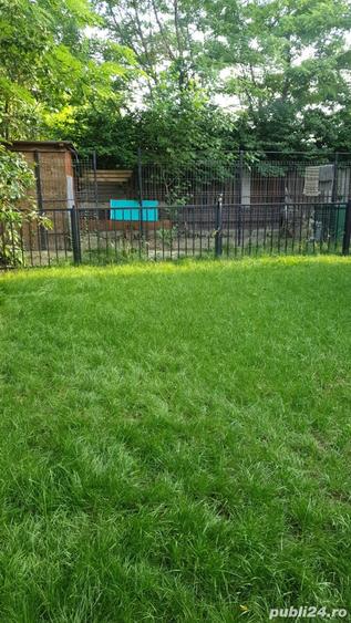 Casa de vanzare Mihailesti Popesti - 6