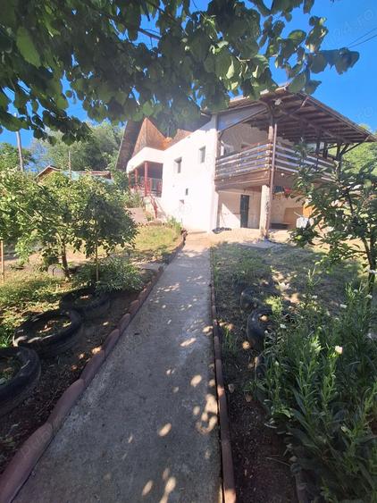 Casa de vanzare in DB, Visinesti, Urseiu - 5