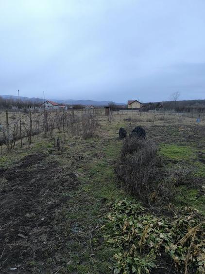 Teren Calea Cisnadiei, langa Amso - 7