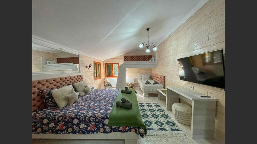 Casa de vacanta superba in Crivaia - 8