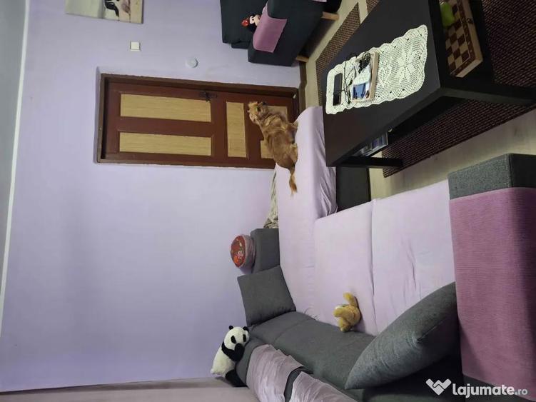 De vanzare casa in Traian ,Teleorman - 5