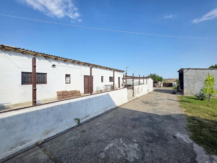 Ferma si casa de vanzare - teren intravilan, la 20min de Constanta! - 16