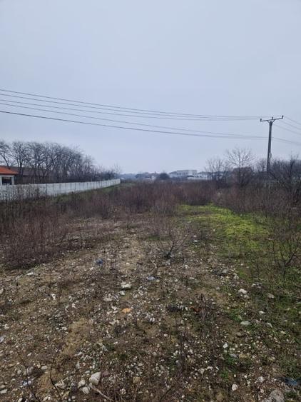 Teren de vanzare Malu Mare – 1.250 mp intravilan - 3