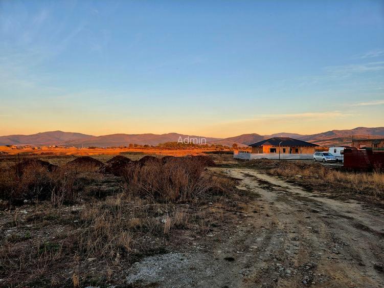 Teren 1450 mp intravilan, construibil Carpinis