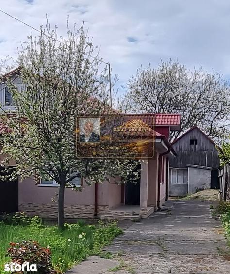 Casa Paunesti/Viisoara/Vrancea/Teren 969 mp - 1
