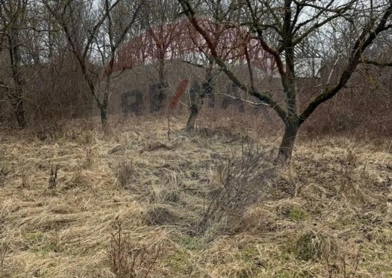 DE VANZARE Teren Strada Victoriei Baia Mare - 8