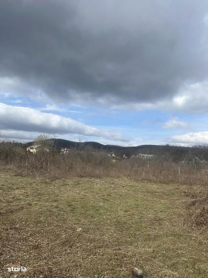 BANESTI - teren intravilan - 1035mp - 50 Euro/mp - 2