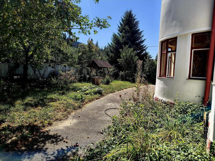 Oportunitate Investitie, casa de vacanta Bradet-Brasov - 4