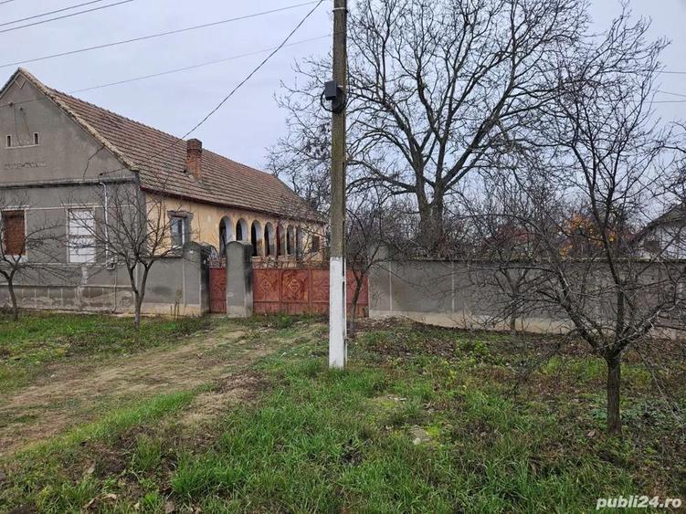 vand casa vinga mailat - 2