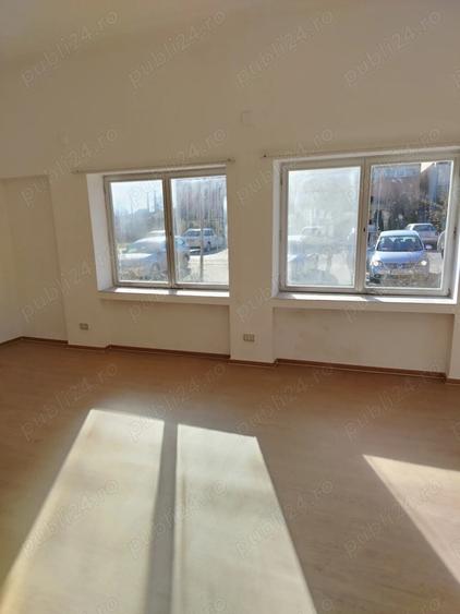 Spatiu de inchiriat Periam central - 3