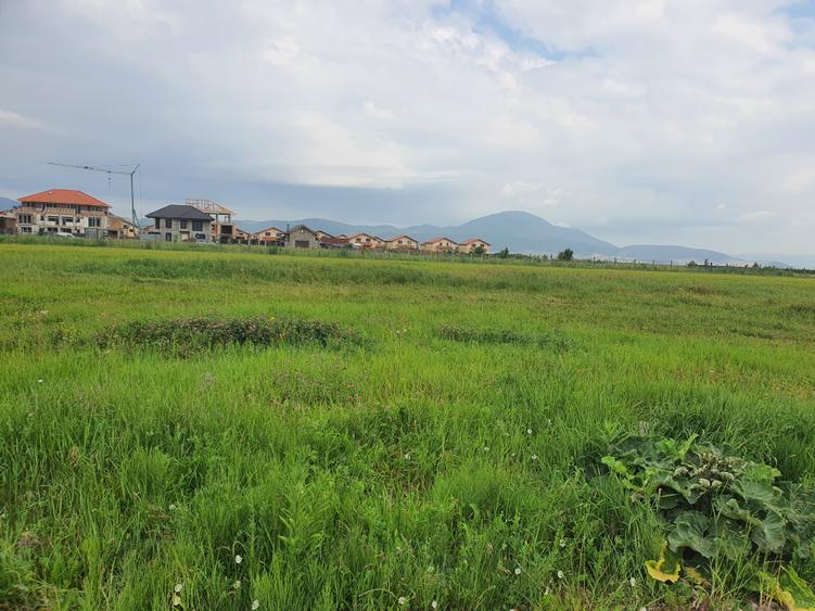 Lot casa Cristian Brașov - 4