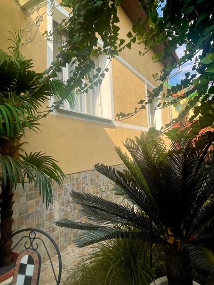 Casa individuală Gavril Musicescu . Timisoara  - 1