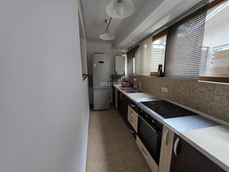 Ion Mihalache-Domenii