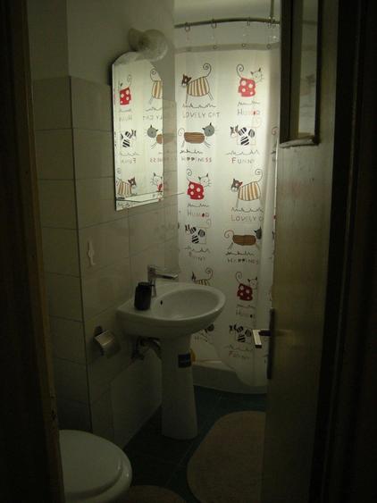 Apartament cu 2 camere, etajul 3/4, zona Podu Ros-Odeon - 6