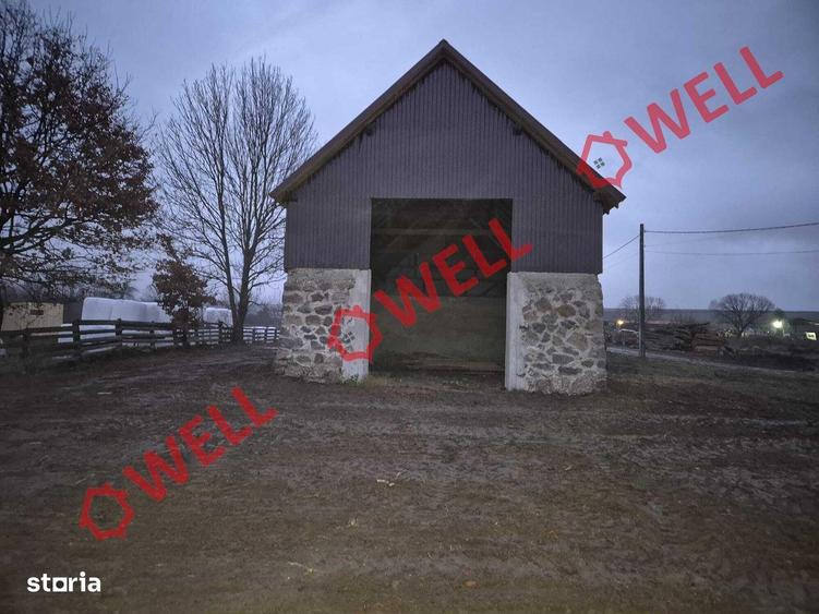 De vanzare hala industriala in Bradu? - 4