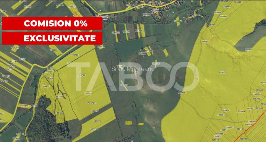 Teren extravilan 2900 mp pretabil pentru investitie zona Lov Teren extravilan 2900 mp pretabil pentru investitie zona Lov
