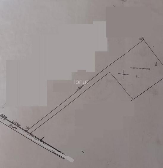 Varbilau - ter. intrav 1200mp, intab la 12 eu/mp