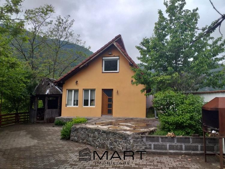 Teren extravilan 7432 mp, cu cabana de lemn Capalna AB - 1