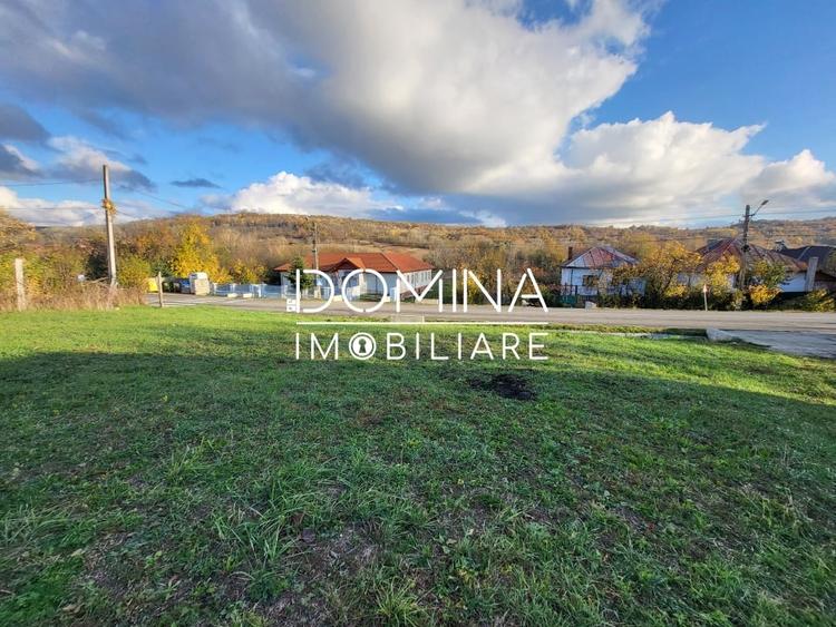 Teren 11.939 mp Balanesti – ideal rezidential/comercial - 3