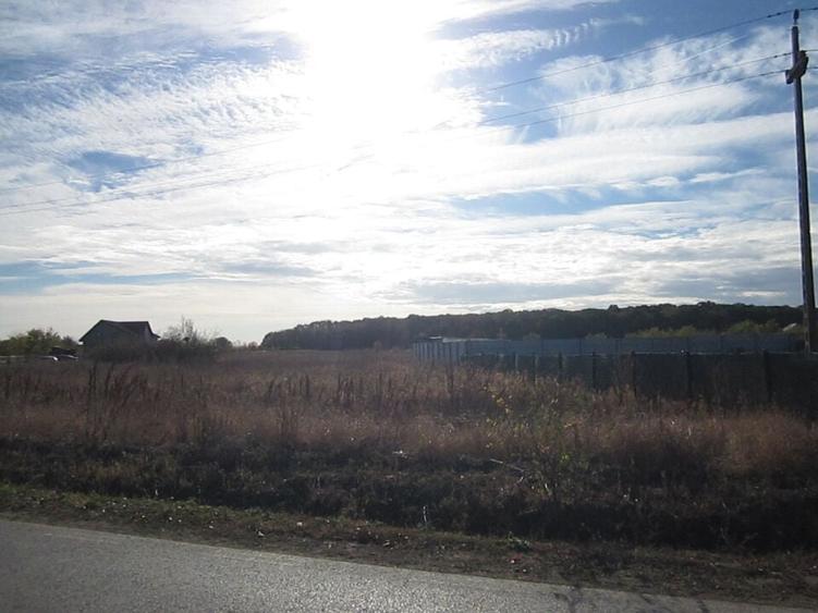 Teghes-Caragea Voda - 17