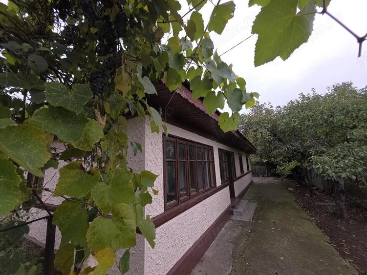 Casa parter comuna Nuci-Micsunesti-Ilfov- 30 minute capitala - 11