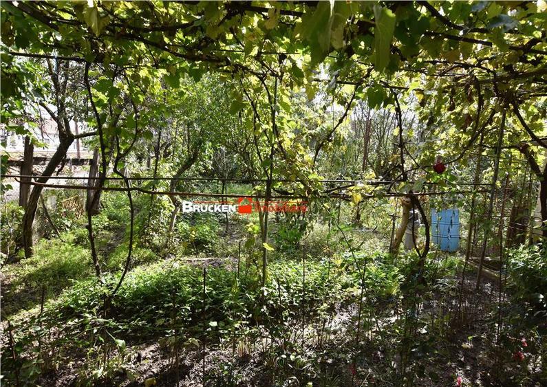 CASA IN ZONA GARII | MARGHITA - 6