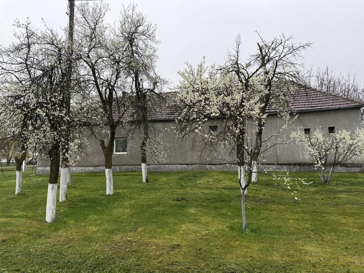 Casa cu anexe de vanzare in Com Frumuseni - 8