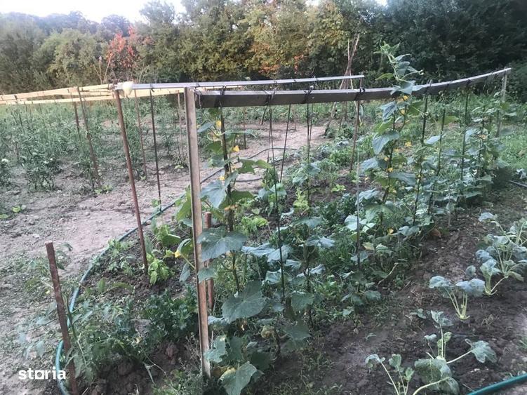 Casa cu 2 camere, teren 1900 mp, zona linistita - 1