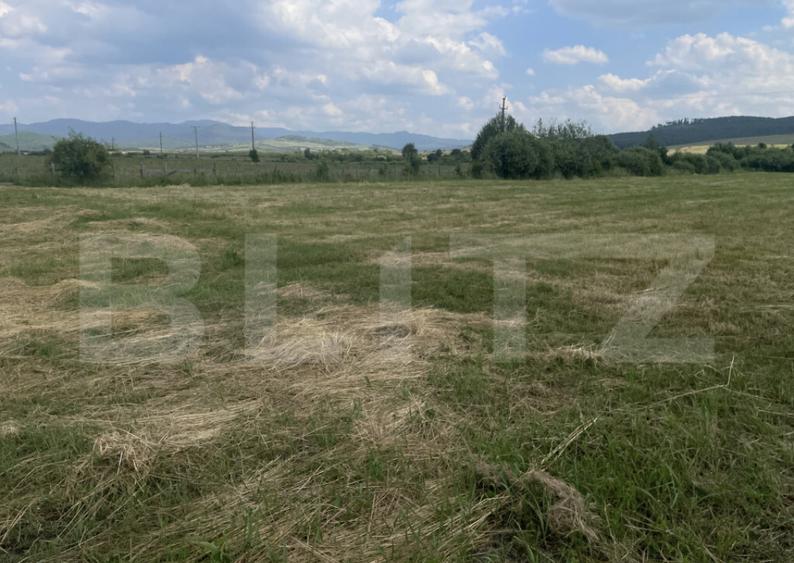 Teren extravilan 1200 mp Dorolea, aproape de Manastire - 8