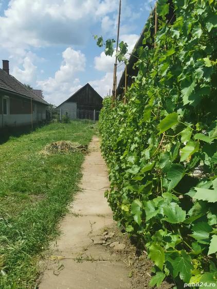 Vand casa - 5