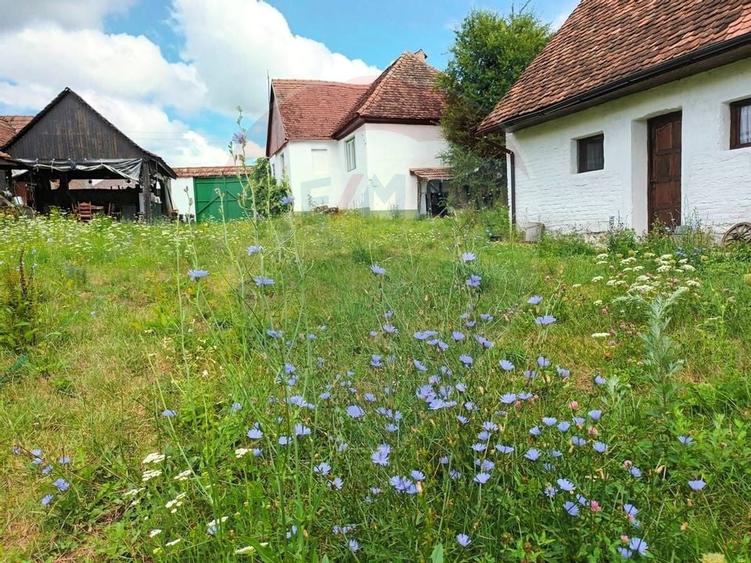 Casa saseasca cu doua spatii de oaspeti - Transilvania - 3