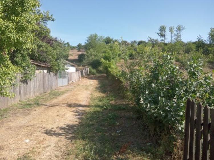 Teren intravilan - 3