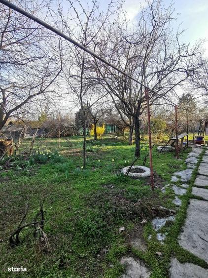 Casa cu teren 1.000 mp in Frumusani, aproape de Bucuresti - 6