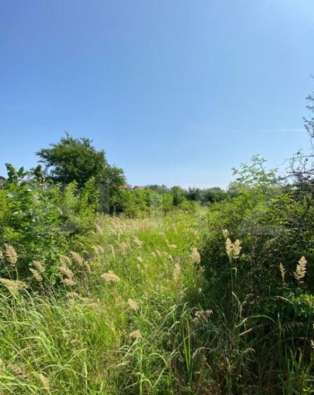 Teren Intravilan de vanzare, 1500 Mp, zona Rahova - 2