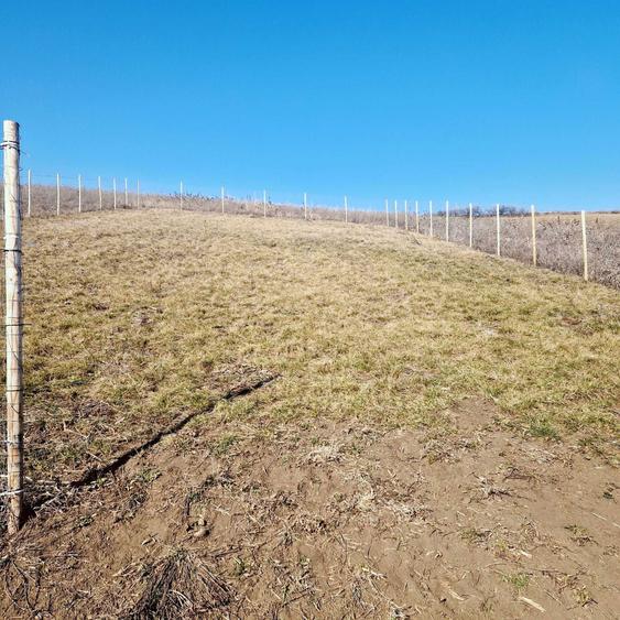 Teren intravilan Sura Mare 504mp - 9