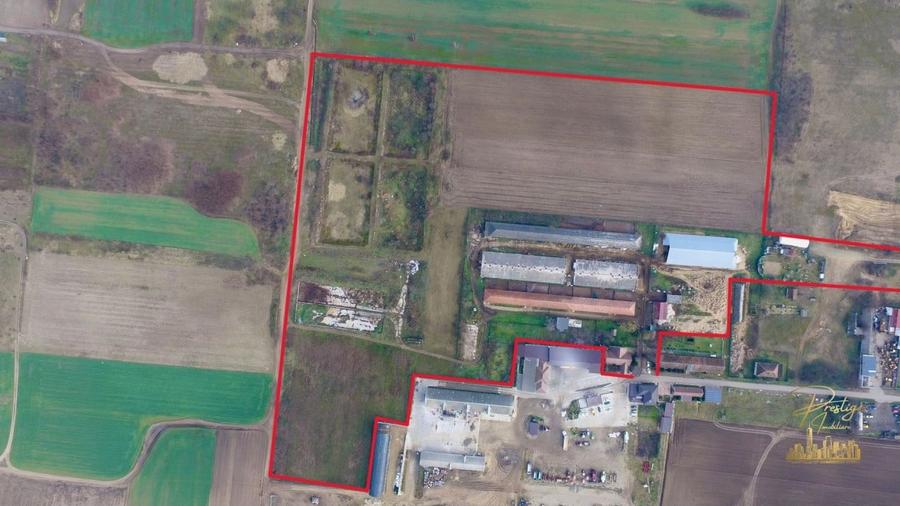 Domeniu - Centru de colectare, 7 ha de vanzare in Valea lui Mihai - 7