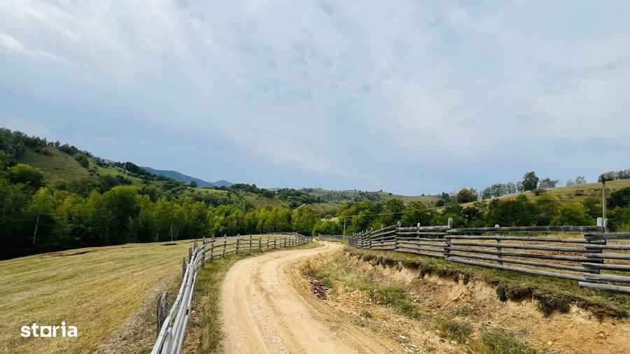 Teren De Vanzare In Zona Purcareti, Jud. Alba. 17800 Mp. - 10
